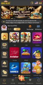 BDG Slot Online Casino Icon